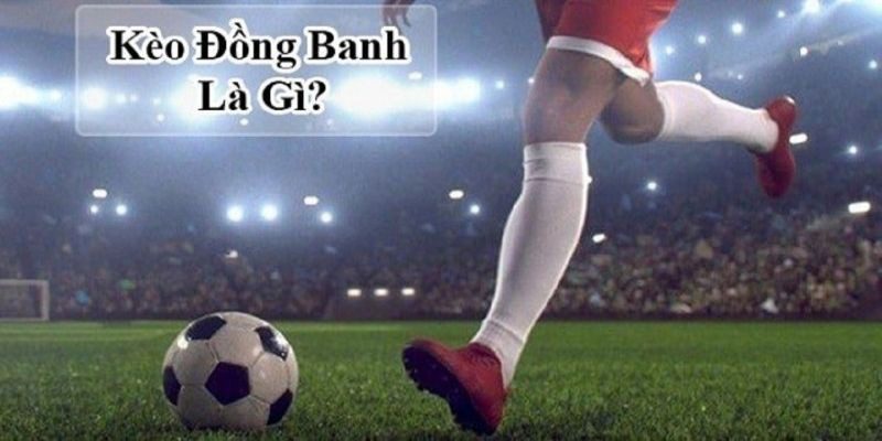Kèo Đồng Banh Là Gì? Những Thông Tin Quan Trọng Của Cược Đồng Banh
