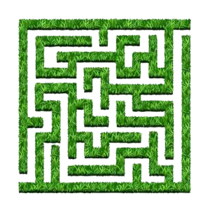 Maze
