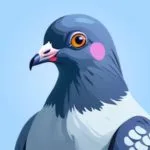 Hidden Pigeon